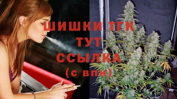 гашик Белоозёрский