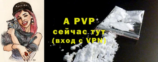 гашик Белоозёрский