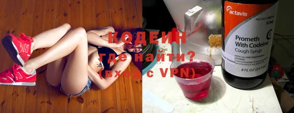 дживик Белокуриха