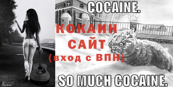 гашик Белоозёрский
