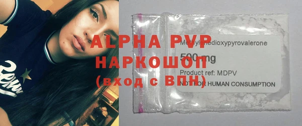 дживик Белокуриха