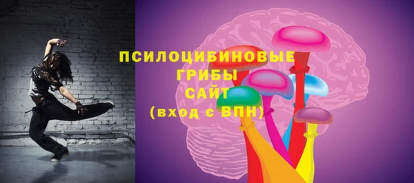 дживик Белокуриха