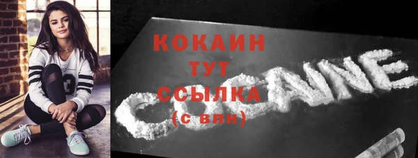 дживик Белокуриха