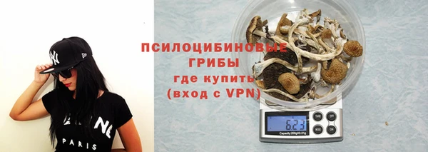 прущая мука Бородино