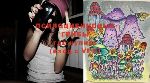 молекула духа Бугульма